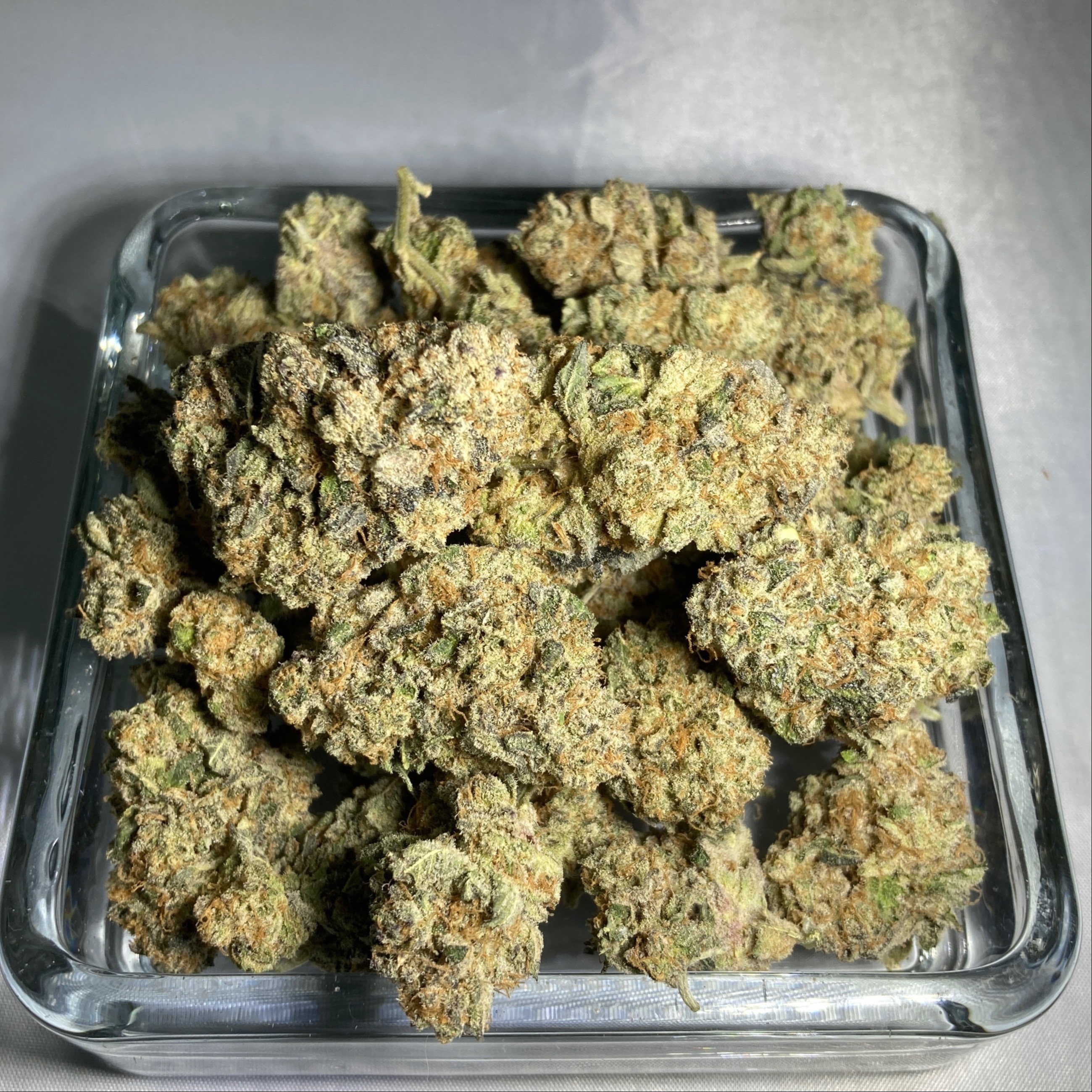 Cake Crasher - Hybrid - Platinum Tier Flower